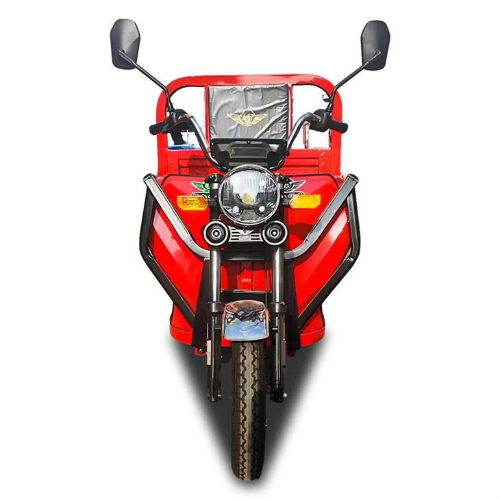 1500W Heavy Electric Cargo Tricycle
