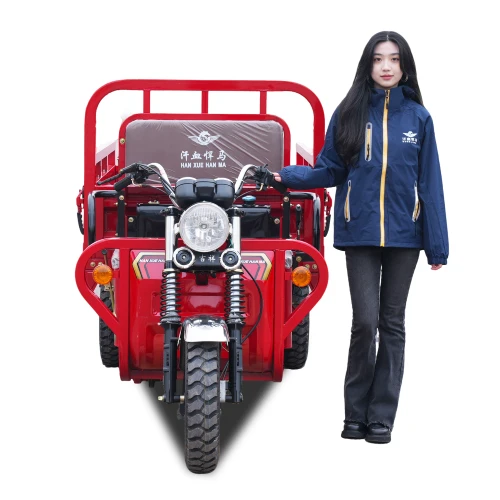 150cc Affordable Cargo Tricycle factory