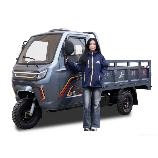 200cc Enclosed Cabin Utility 3-Wheeler high quality