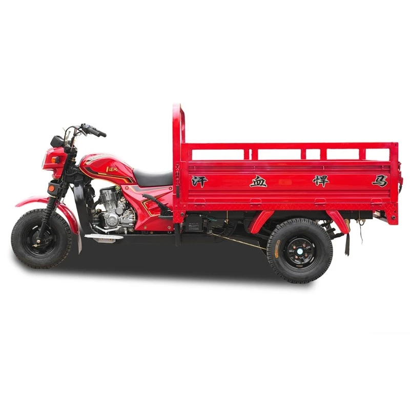 Narrow-body Flexible-steering 3 Wheel Cargo Motorcycle