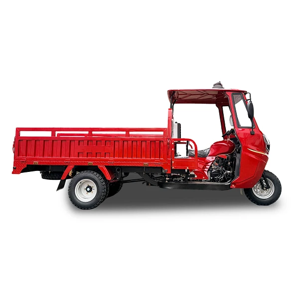 300cc Heavy Duty 6-Speed Cargo 3-Wheeler high quality