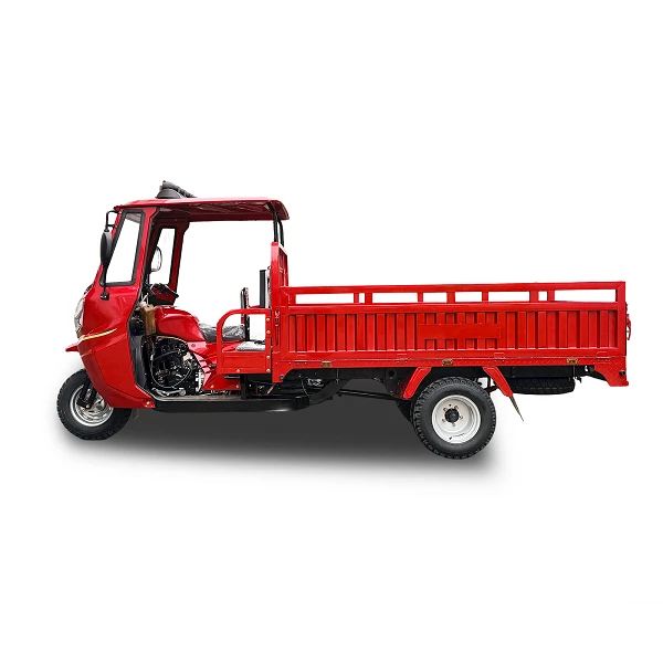 300cc Heavy Duty 6-Speed Cargo 3-Wheeler price
