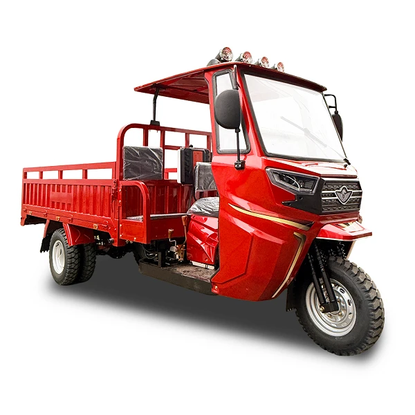 300cc Heavy Duty 6-Speed Cargo 3-Wheeler factory
