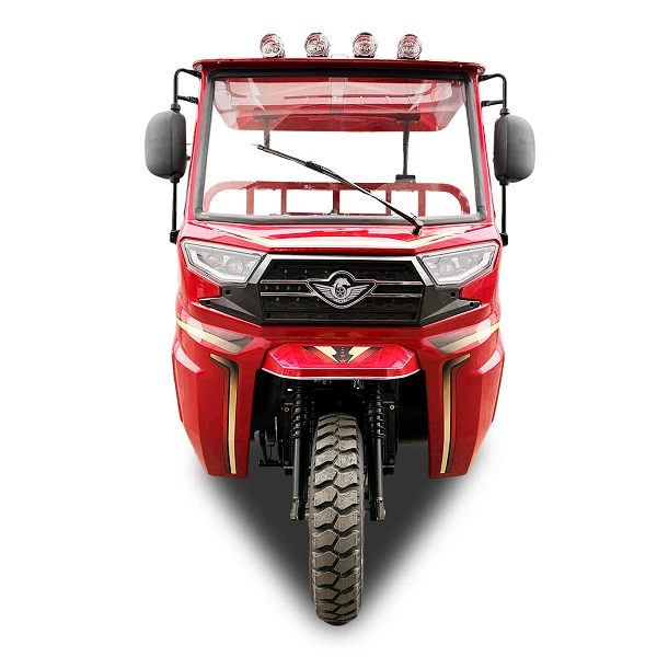 300cc Heavy Duty 6-Speed Cargo 3-Wheeler suppliers
