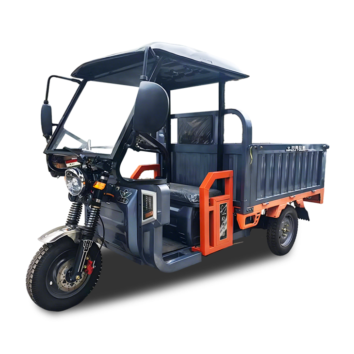 Electric Cargo Three Wheeler
