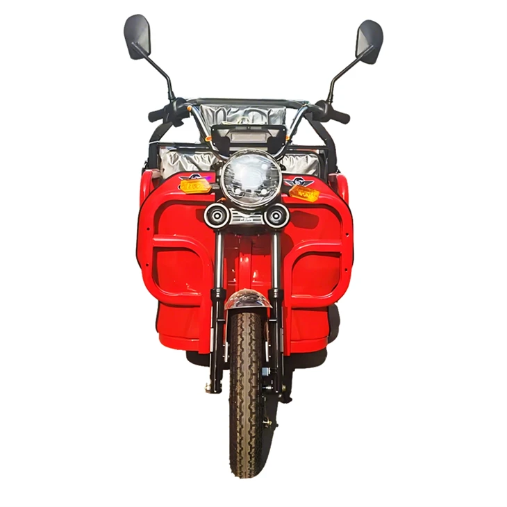 Heavy Electric Cargo Tricycle