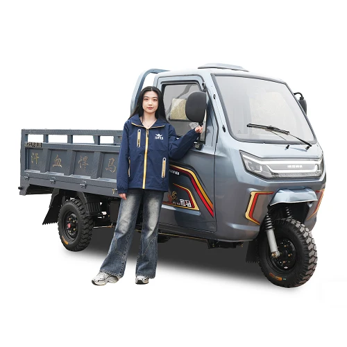Water-Cooled Enclosed Cargo Three Wheeler Water-Cooled Enclosed Cargo Three Wheeler