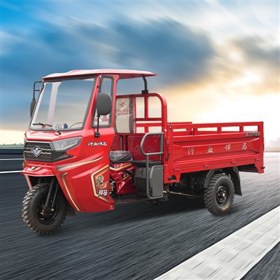 1000kg Tricycle Load Carrier