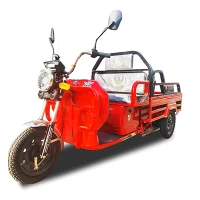 1200w Heavy Electric Cargo Tricycle