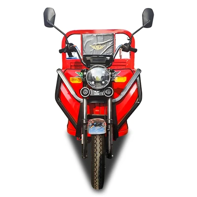 1500W Heavy Electric Cargo Tricycle