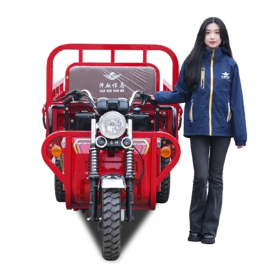 150cc Affordable Cargo Tricycle