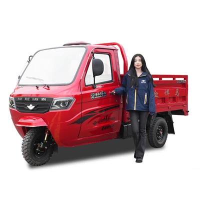 150cc Fully Canopied Cargo Tricycle