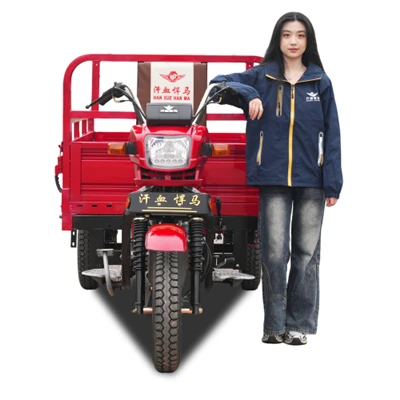 200CC Cargo Power Tricycle