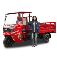 200cc Gasoline Cargo Tricycle