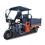 Electric Cargo Three Wheeler