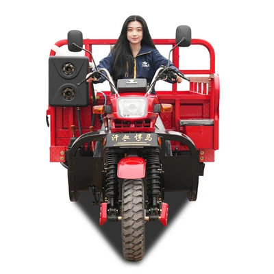 Heavy Duty Universal Cargo Trike