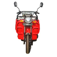 Heavy Electric Cargo Tricycle