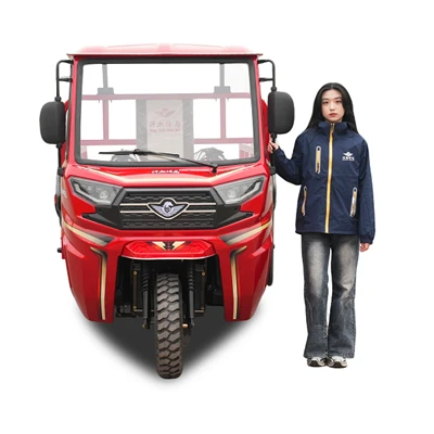 Water Cooled 250cc Cargo Tricycle With Hood